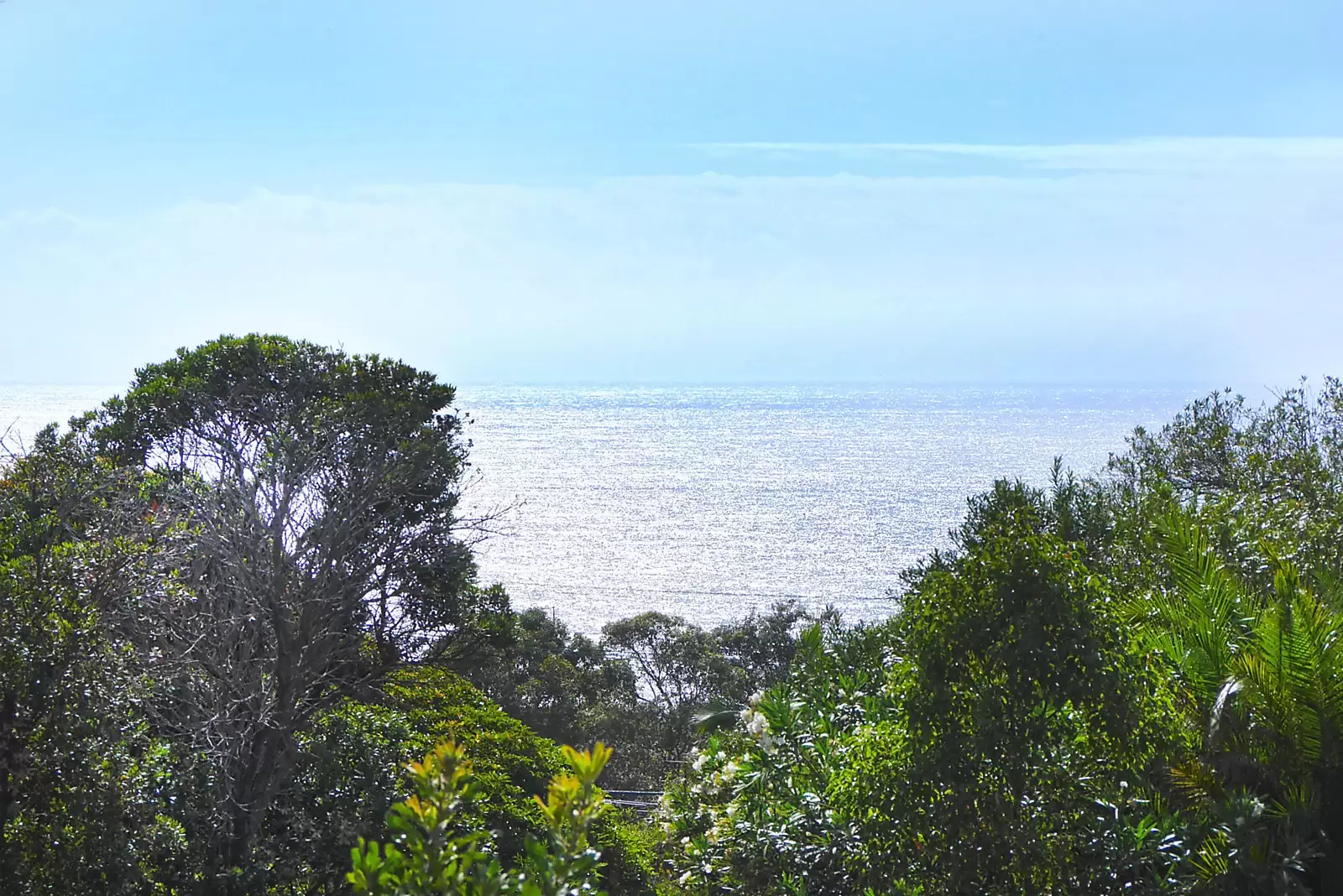 9 Clarendon Street, Vaucluse Leased by Sydney Sotheby's International Realty - image 16