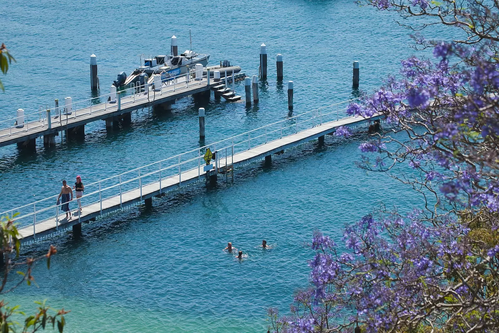 2/543 New South Head Road, Double Bay Sold by Sydney Sotheby's International Realty - image 11