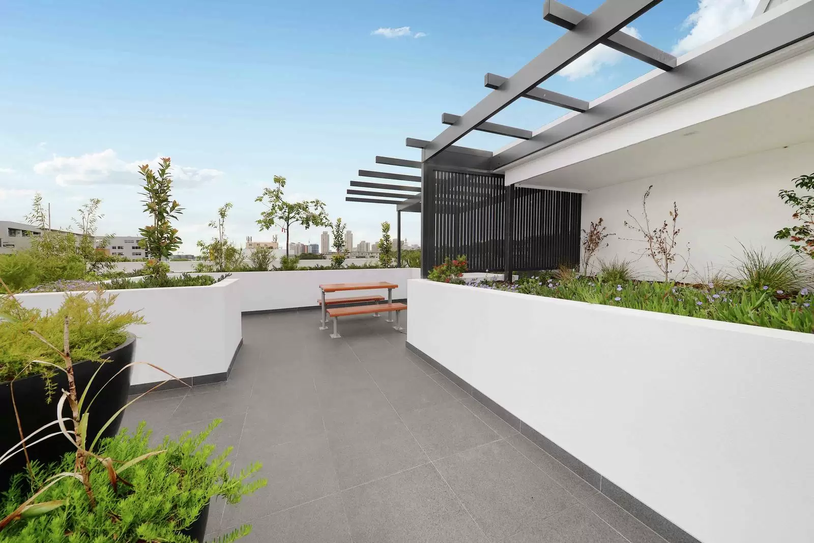 101/223-235 Botany Road, Waterloo Leased by Sydney Sotheby's International Realty - image 5