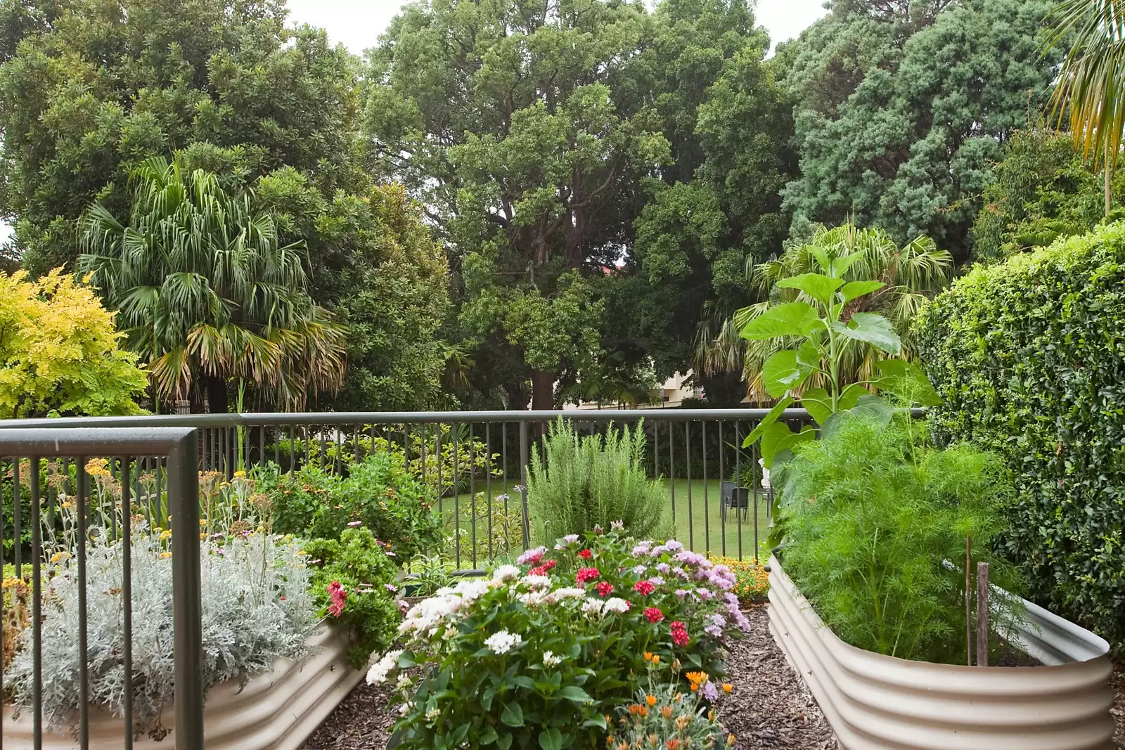 13/118 Wallis Street, Woollahra Sold by Sydney Sotheby's International Realty - image 13