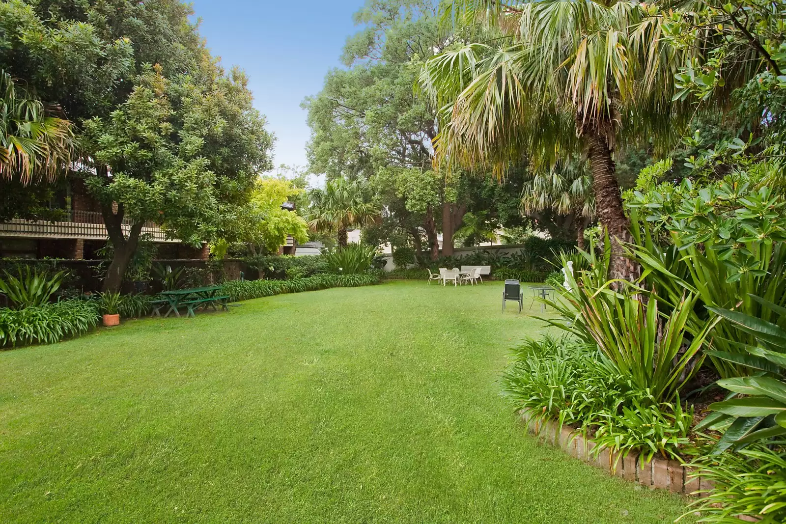 13/118 Wallis Street, Woollahra Sold by Sydney Sotheby's International Realty - image 12