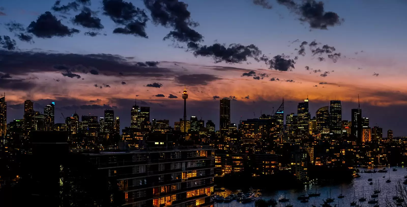 4/81 Darling Point Road, Darling Point Sold by Sydney Sotheby's International Realty - image 11