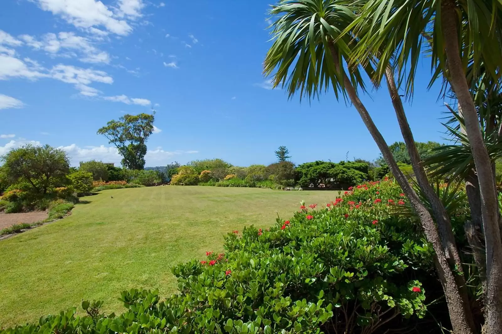 17B/5-11 Thorton Street, Darling Point Leased by Sydney Sotheby's International Realty - image 19