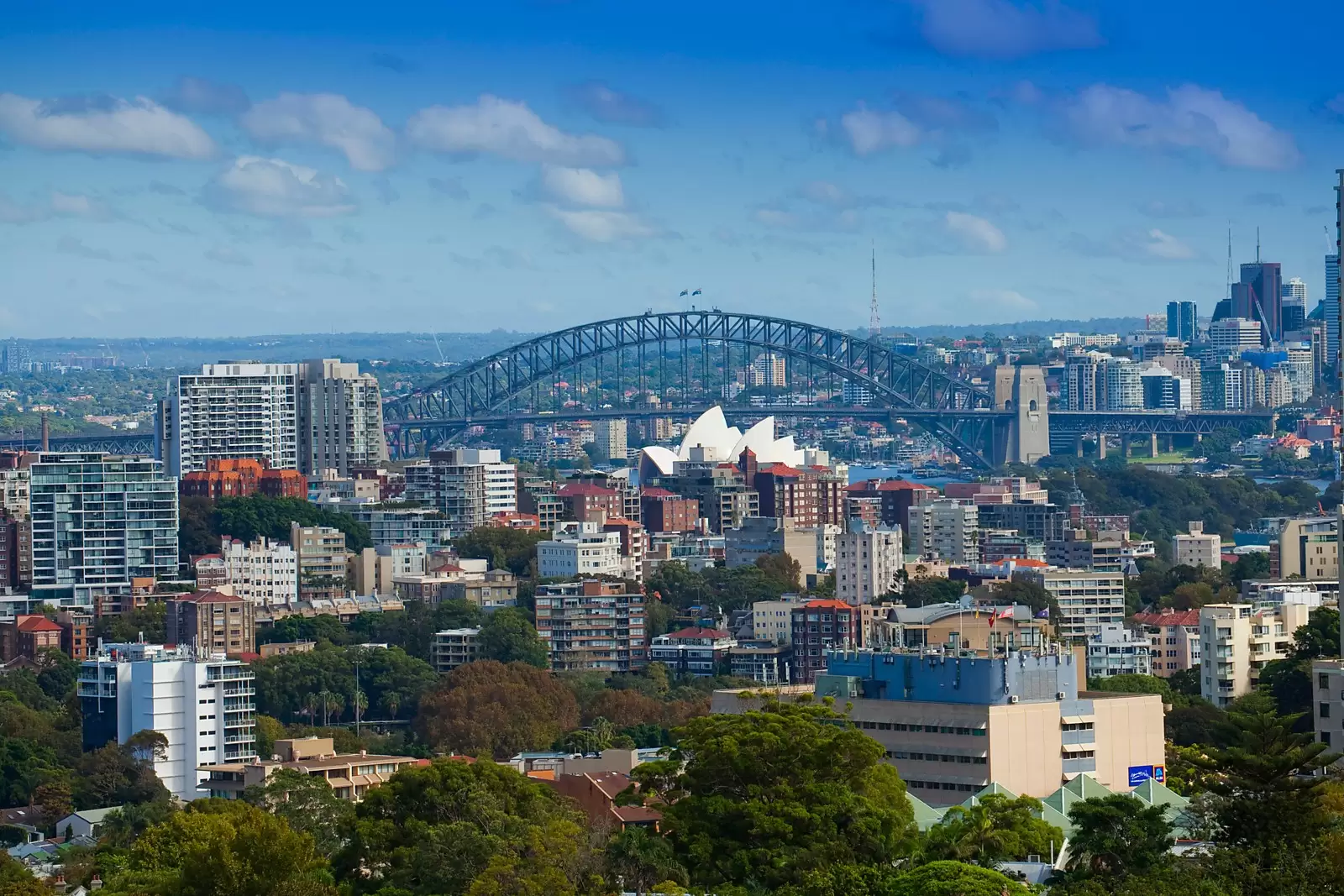 55/8 Fullerton Street, Woollahra Sold by Sydney Sotheby's International Realty - image 13