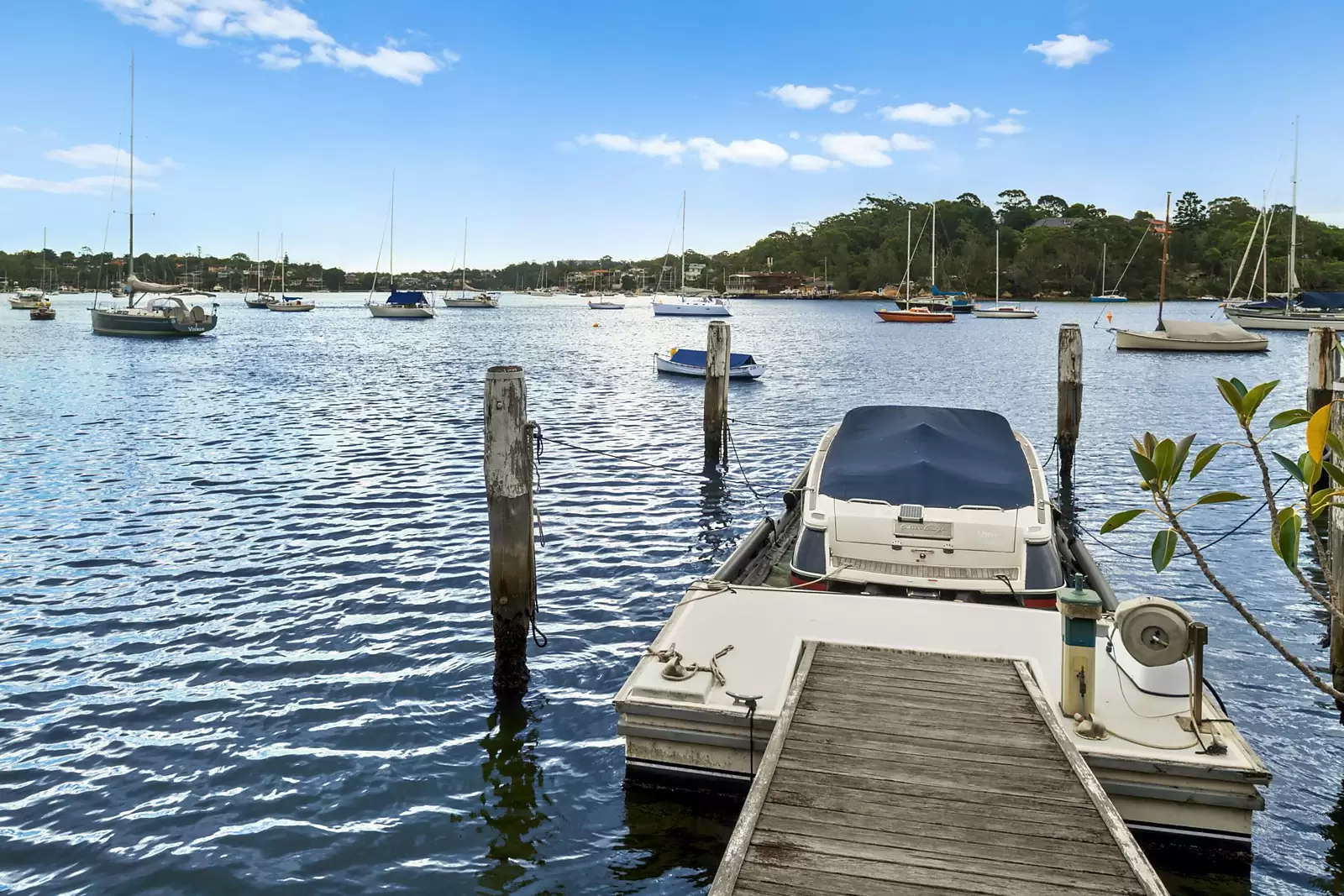 22-24 Gale Street, Woolwich Sold by Sydney Sotheby's International Realty - image 15