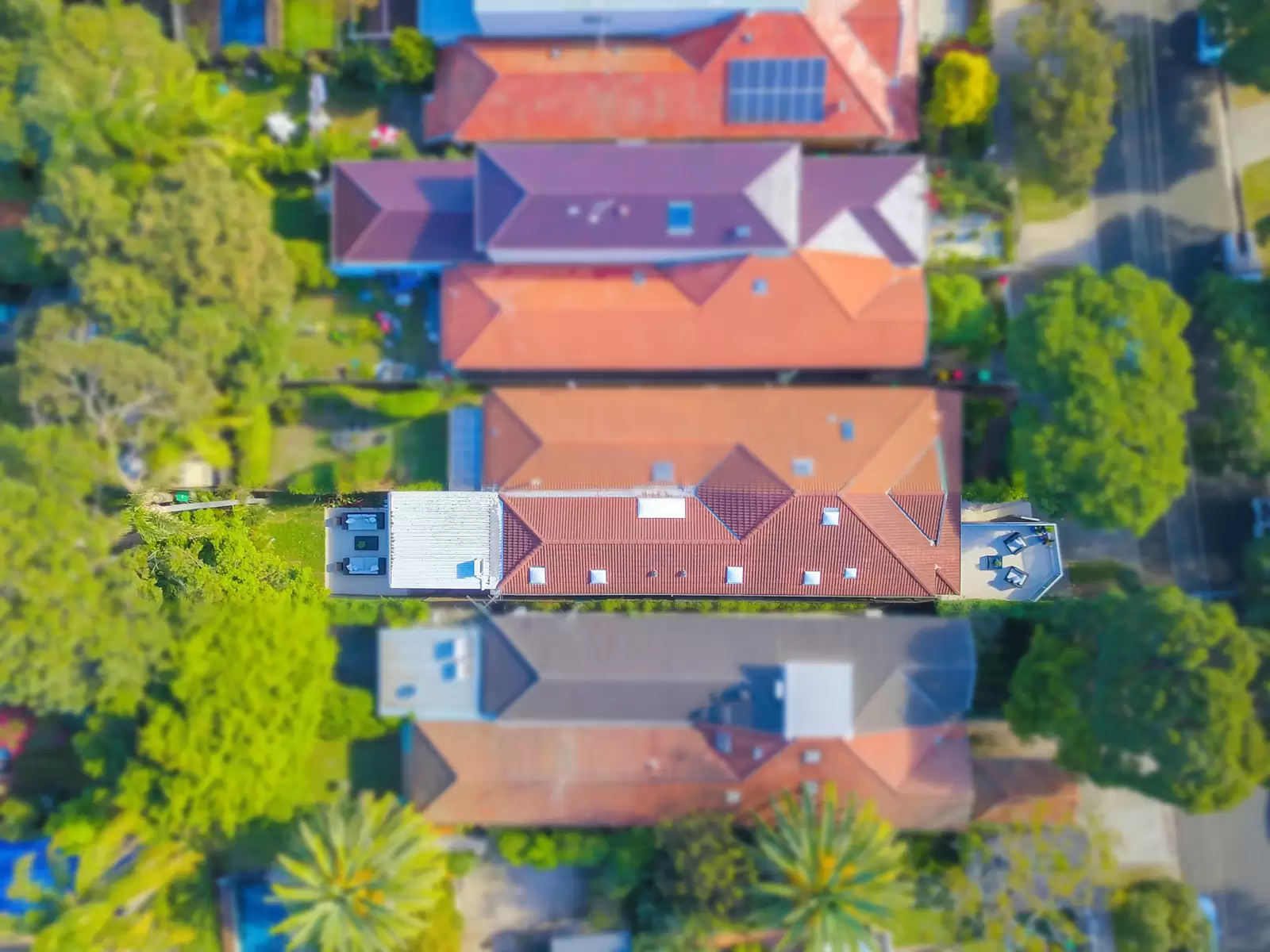 20 Warren Road, Bellevue Hill Sold by Sydney Sotheby's International Realty - image 13