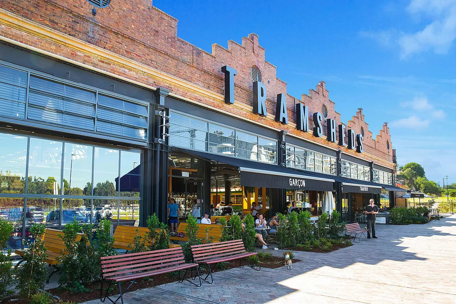 1 Scotsman Street, Forest Lodge Leased by Sydney Sotheby's International Realty - image 6