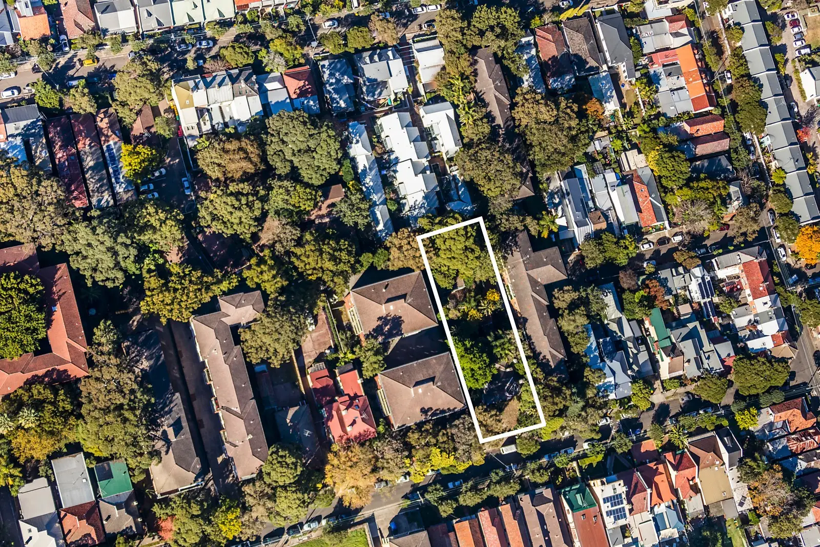 29 - 31 Tupper Street, Enmore Sold by Sydney Sotheby's International Realty - image 1