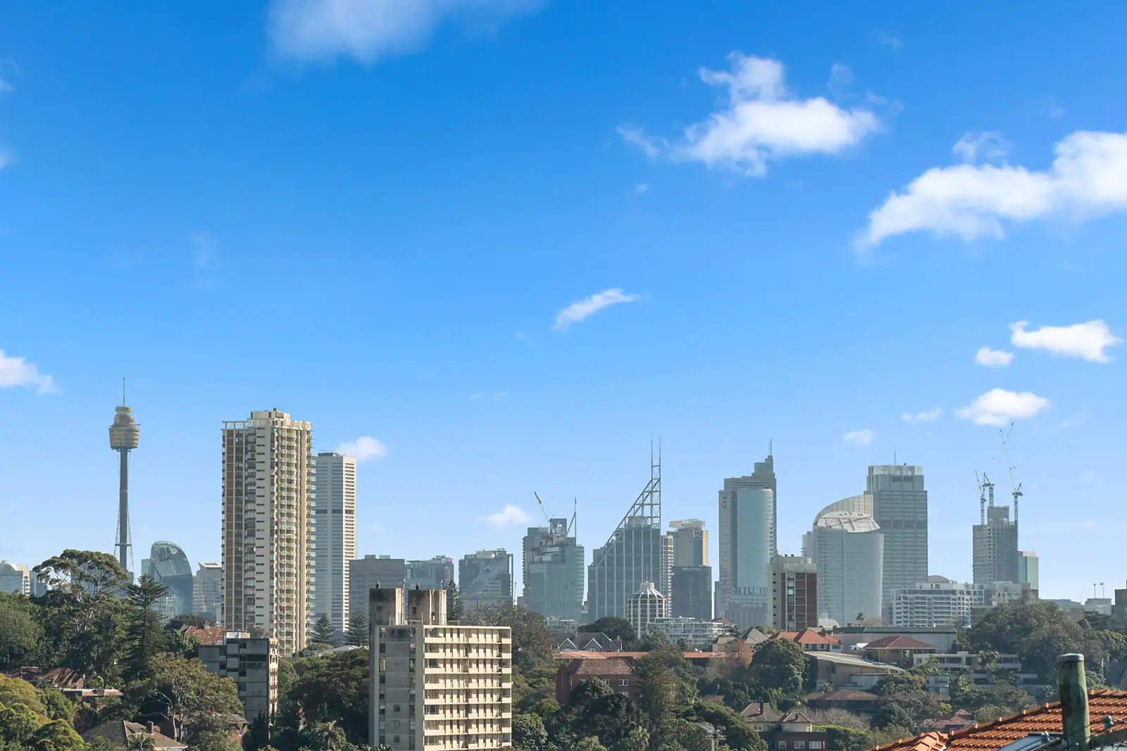 19A Arthur Street, Bellevue Hill Sold by Sydney Sotheby's International Realty - image 3