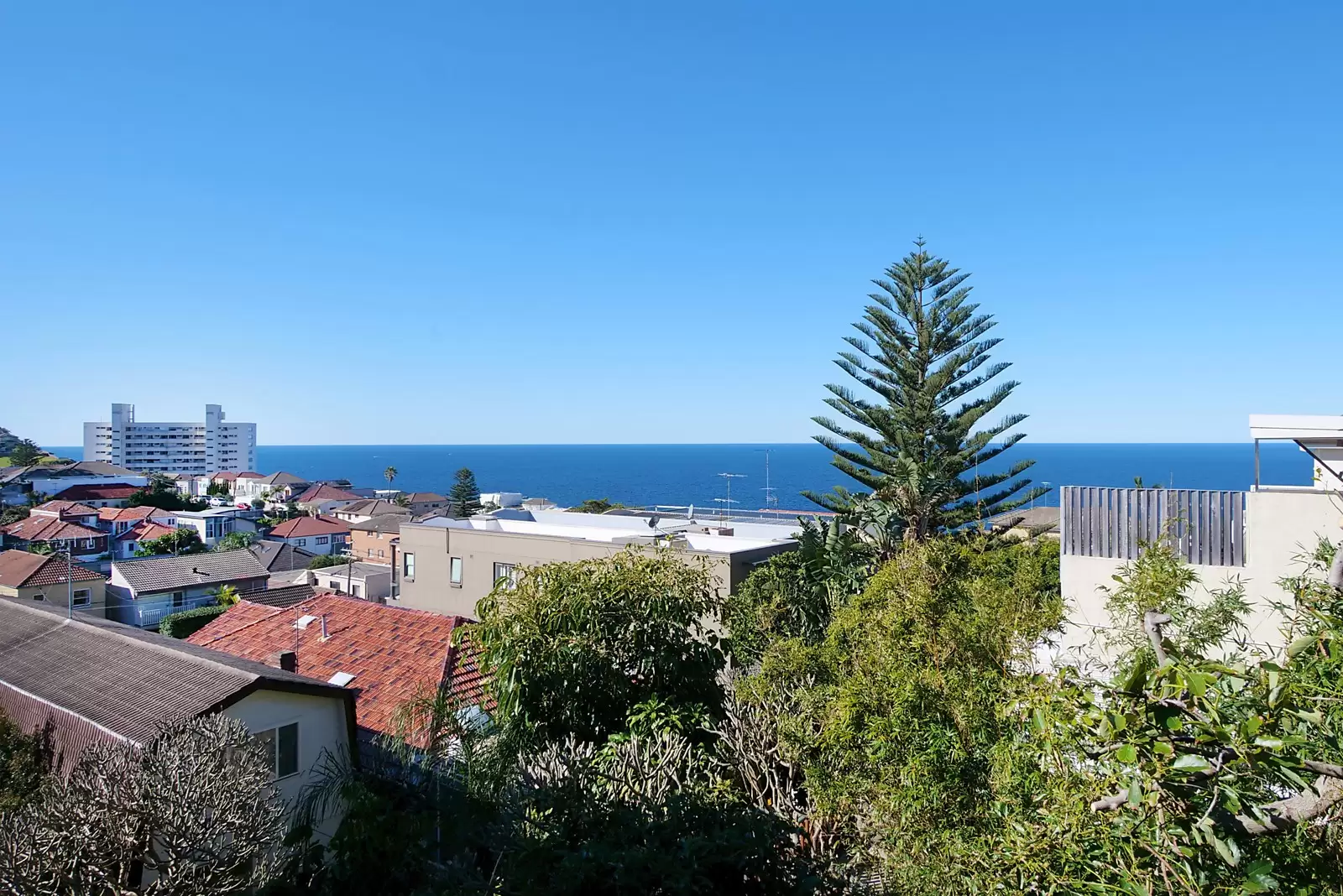 271 Military Road, Dover Heights Sold by Sydney Sotheby's International Realty - image 7
