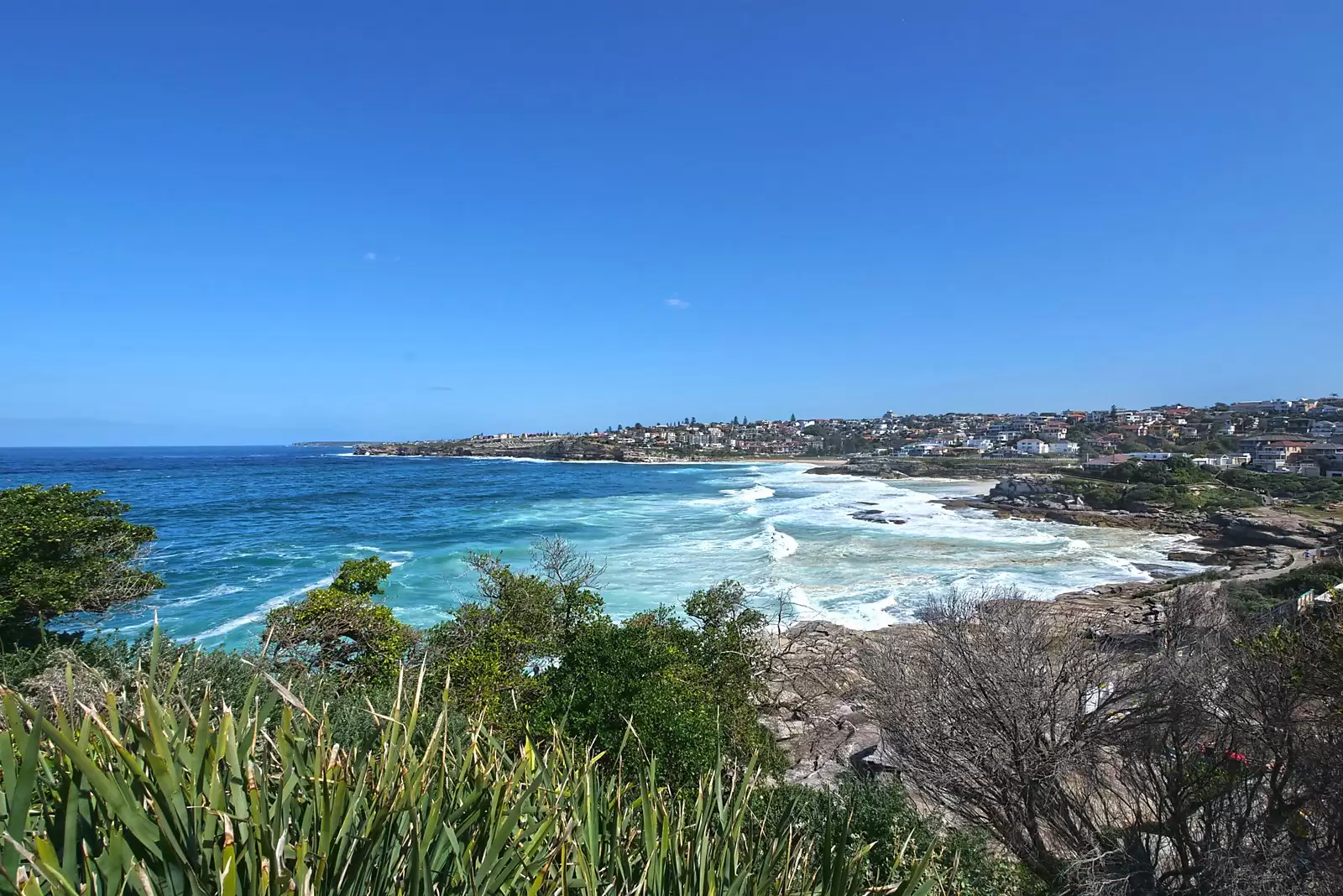 6/69 Fletcher Street, Tamarama Sold by Sydney Sotheby's International Realty - image 11