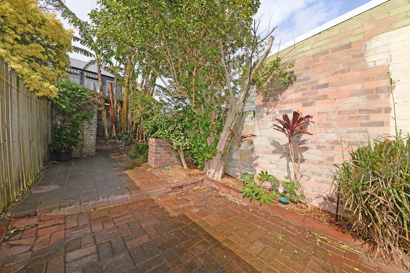 96 Ruthven Street, Bondi Junction Leased by Sydney Sotheby's International Realty - image 3