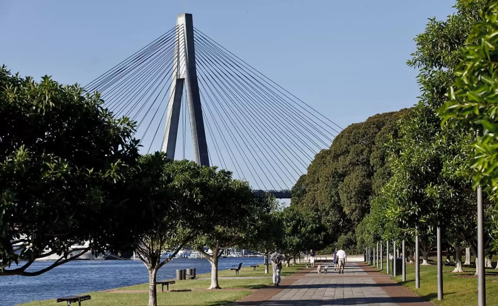 1/16-18 Franklyn Street, Glebe Leased by Sydney Sotheby's International Realty - image 12