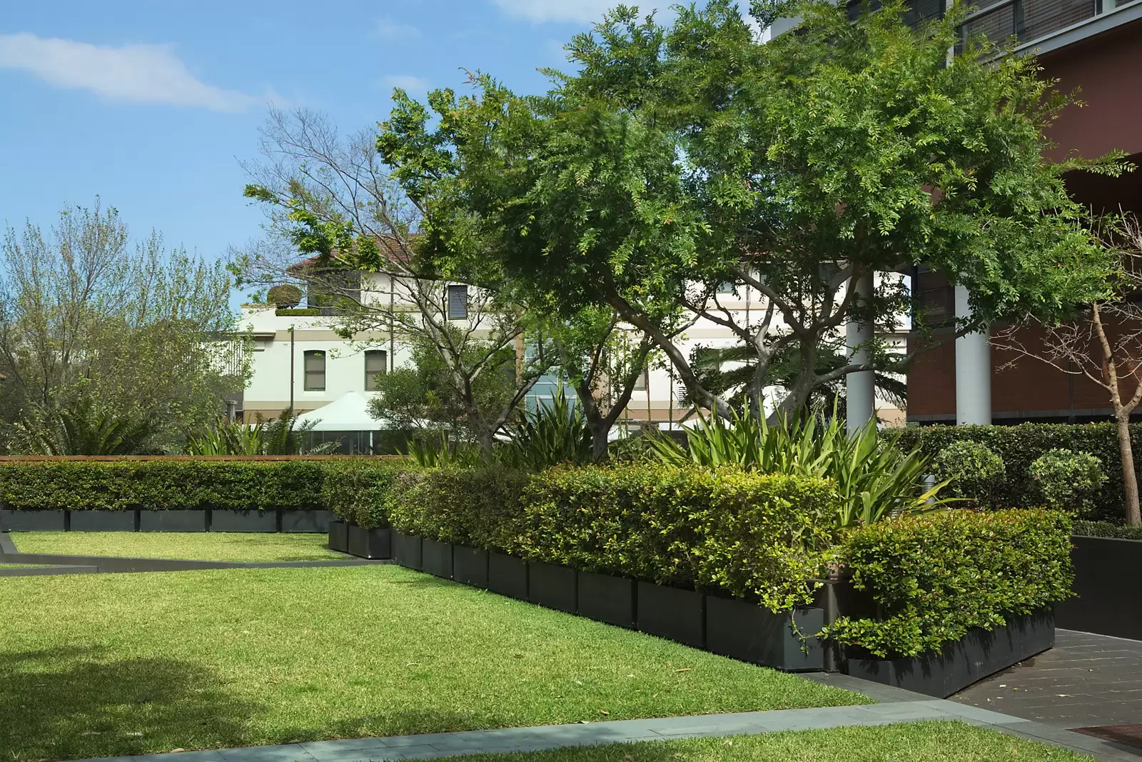 804E/103-105 Doncaster Avenue, Kensington Sold by Sydney Sotheby's International Realty - image 22