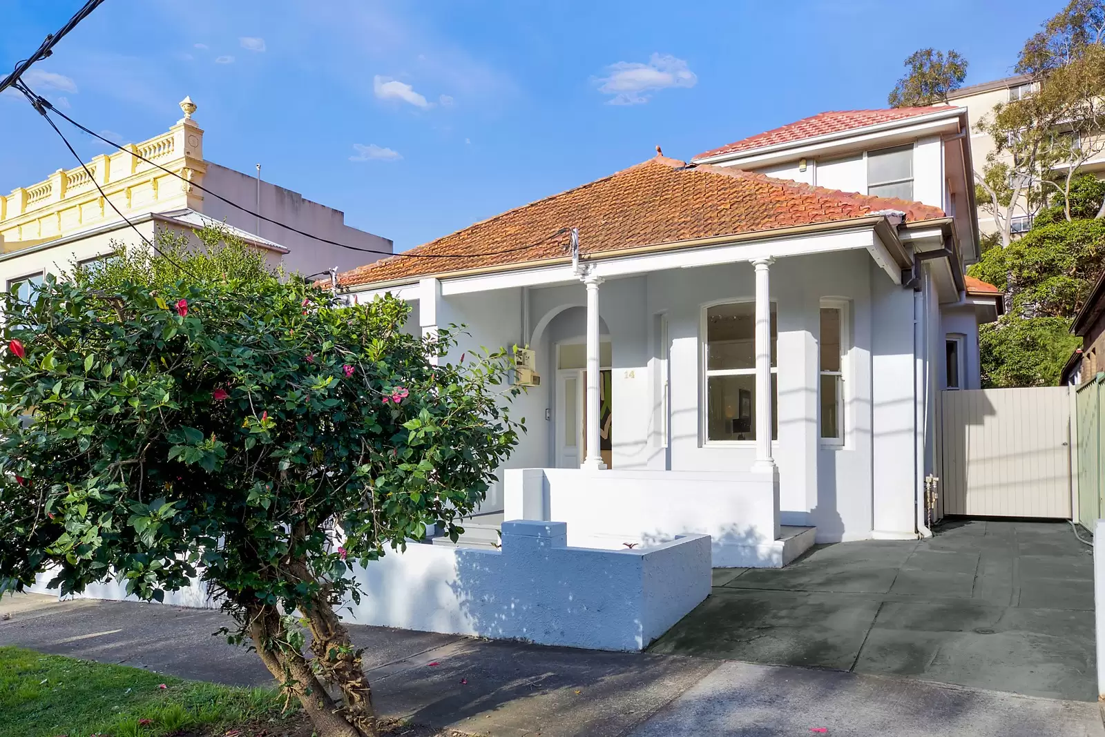 14 Council Street, Bondi Junction Sold by Sydney Sotheby's International Realty - image 14