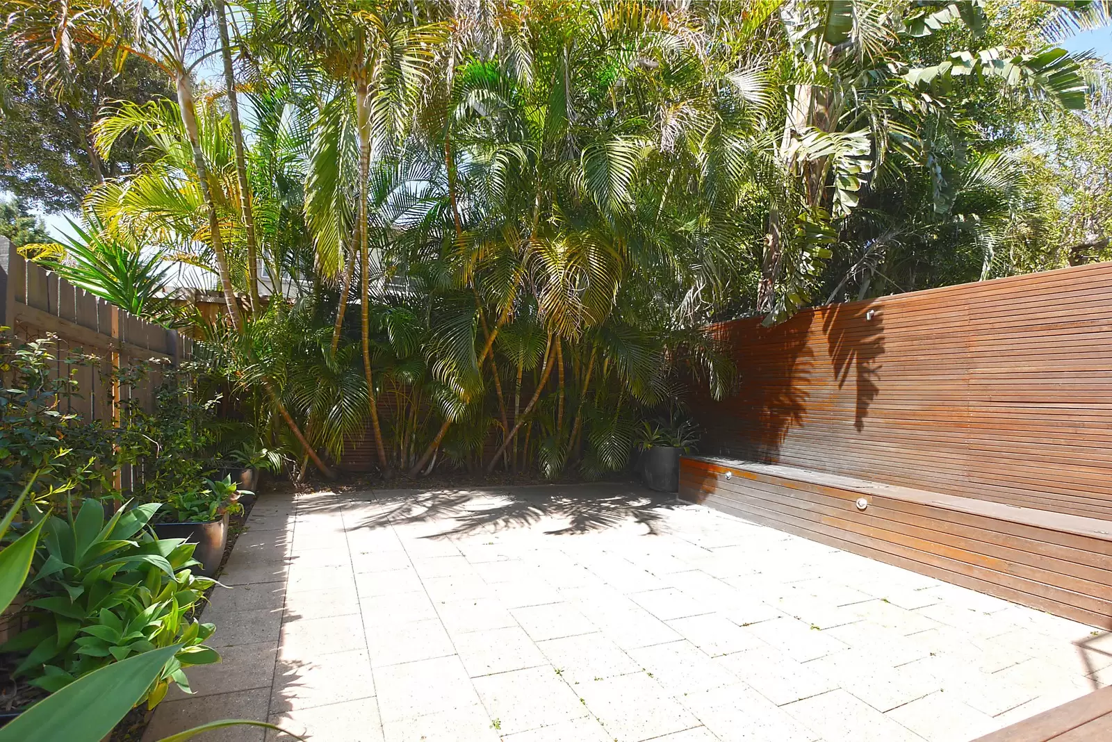15 Shaw Street, North Bondi Sold by Sydney Sotheby's International Realty - image 7