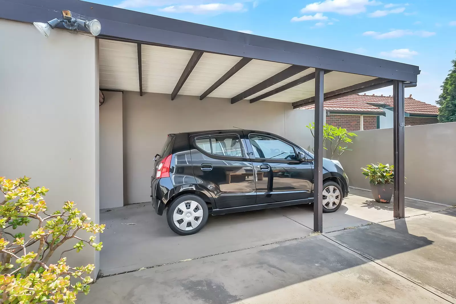 19 Greville Street, Clovelly Sold by Sydney Sotheby's International Realty - image 6