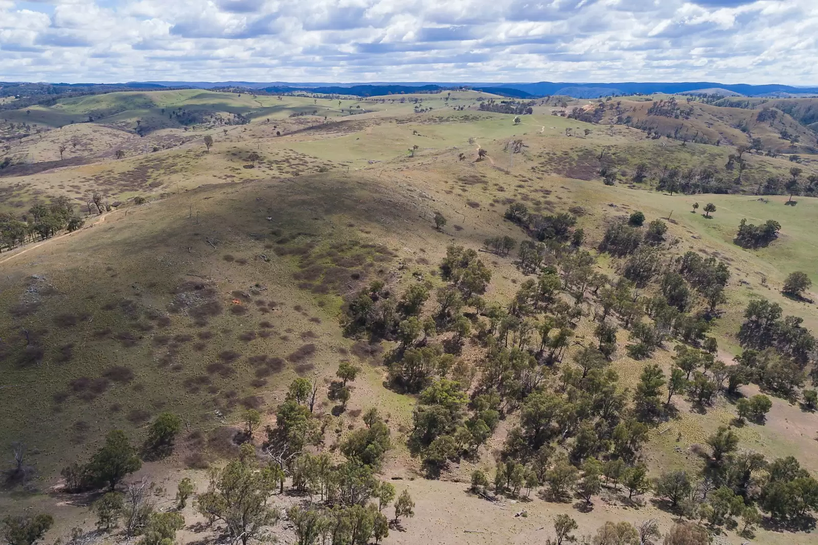 - Bannaby Station, Taralga Sold by Sydney Sotheby's International Realty - image 10