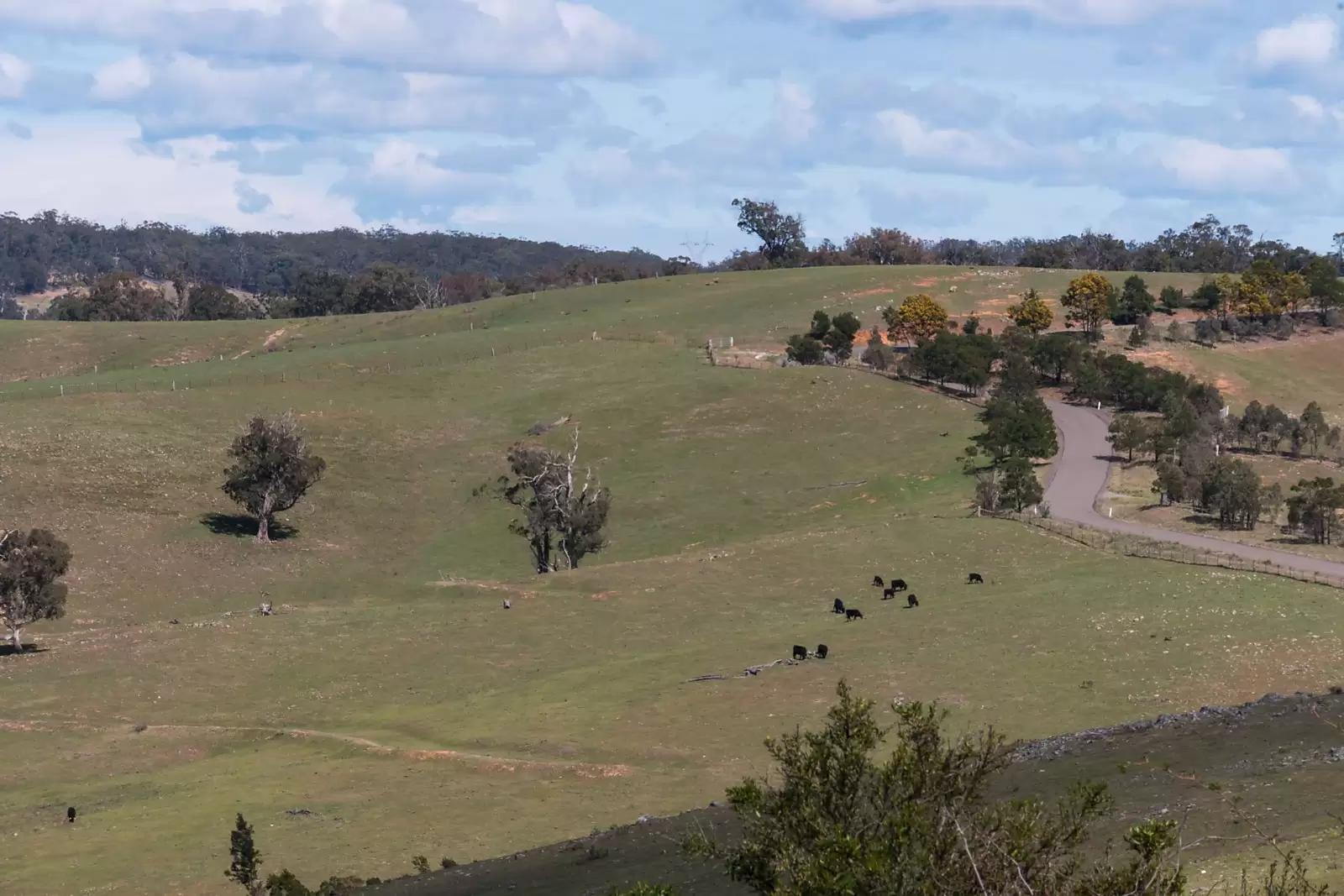 - Bannaby Station, Taralga Sold by Sydney Sotheby's International Realty - image 8