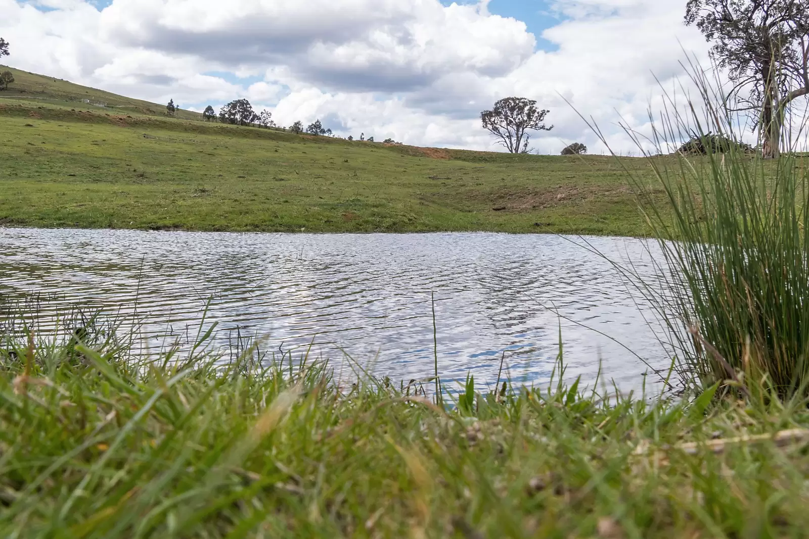 - Bannaby Station, Taralga Sold by Sydney Sotheby's International Realty - image 12
