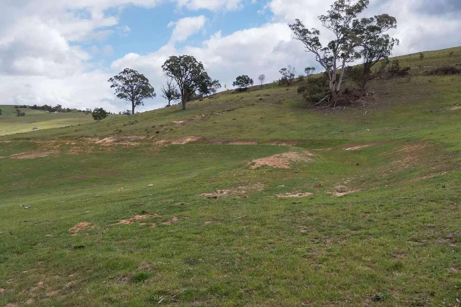- Bannaby Station, Taralga Sold by Sydney Sotheby's International Realty - image 11