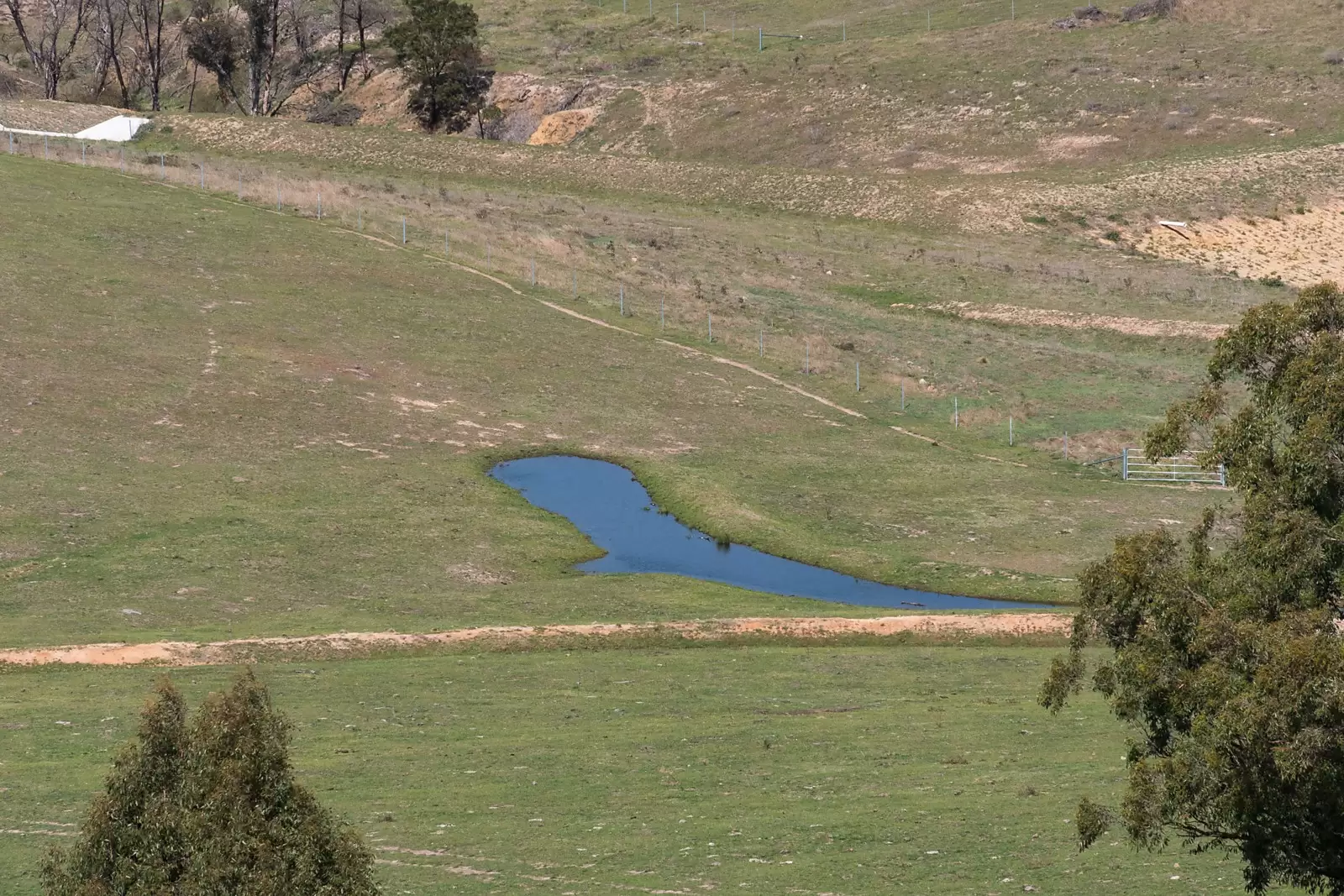 - Bannaby Station, Taralga Sold by Sydney Sotheby's International Realty - image 4