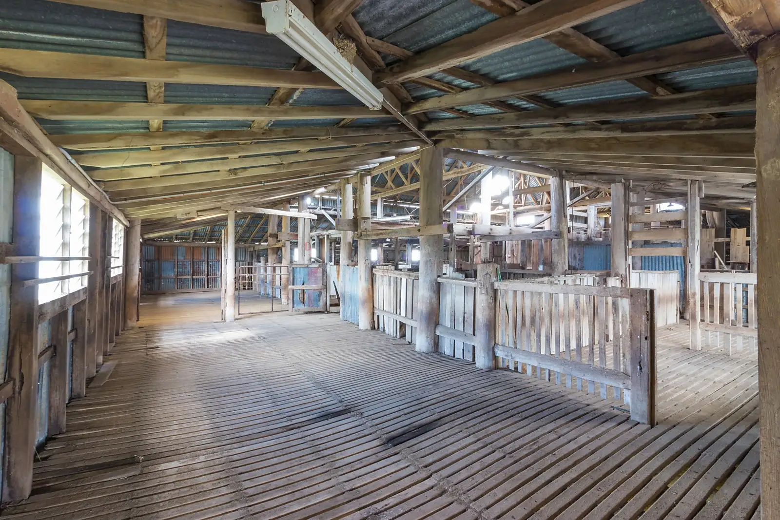 Shearing She Bannaby Station, Taralga Sold by Sydney Sotheby's International Realty - image 3