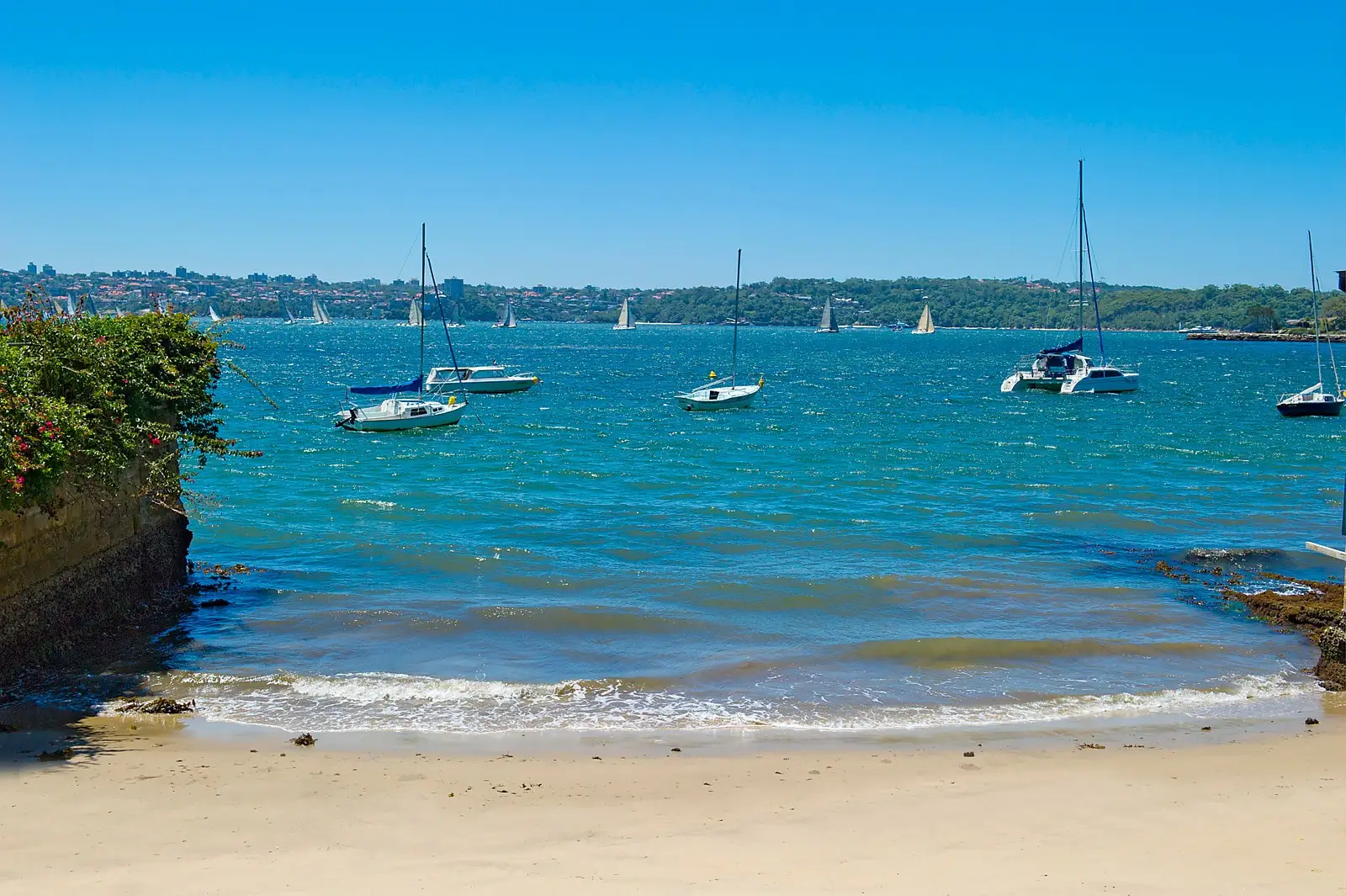 'Yarannabbe Gardens' 401/87-97 Yarranabbe Road, Darling Point Sold by Sydney Sotheby's International Realty - image 2