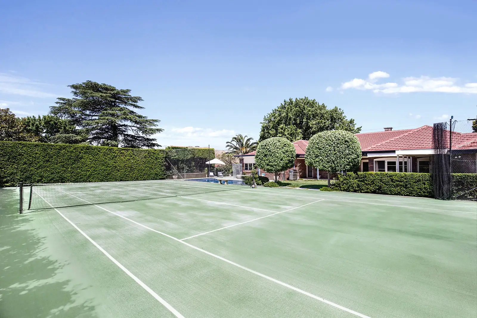 28 Powell Street, Killara Sold by Sydney Sotheby's International Realty - image 2