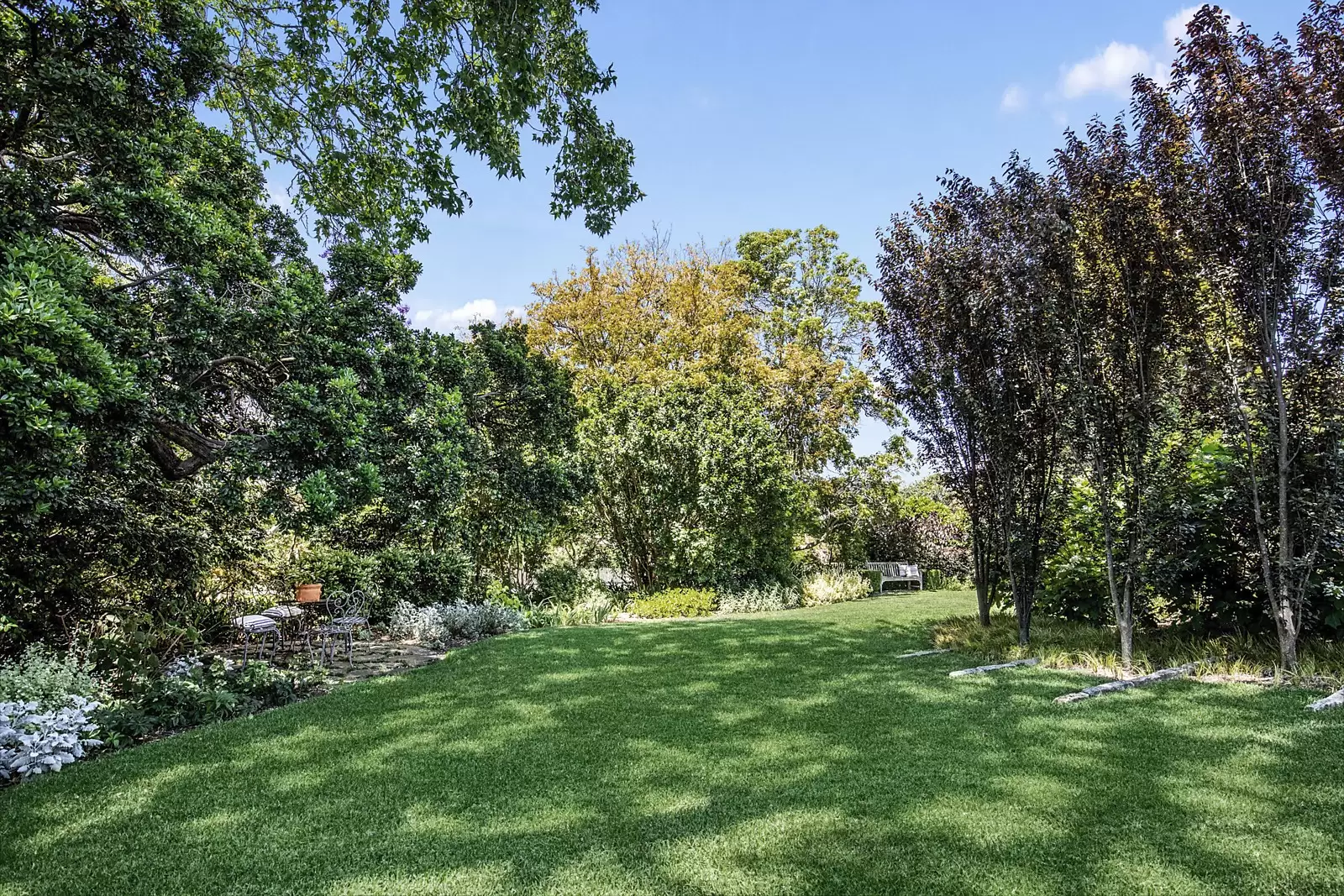 28 Powell Street, Killara Sold by Sydney Sotheby's International Realty - image 19