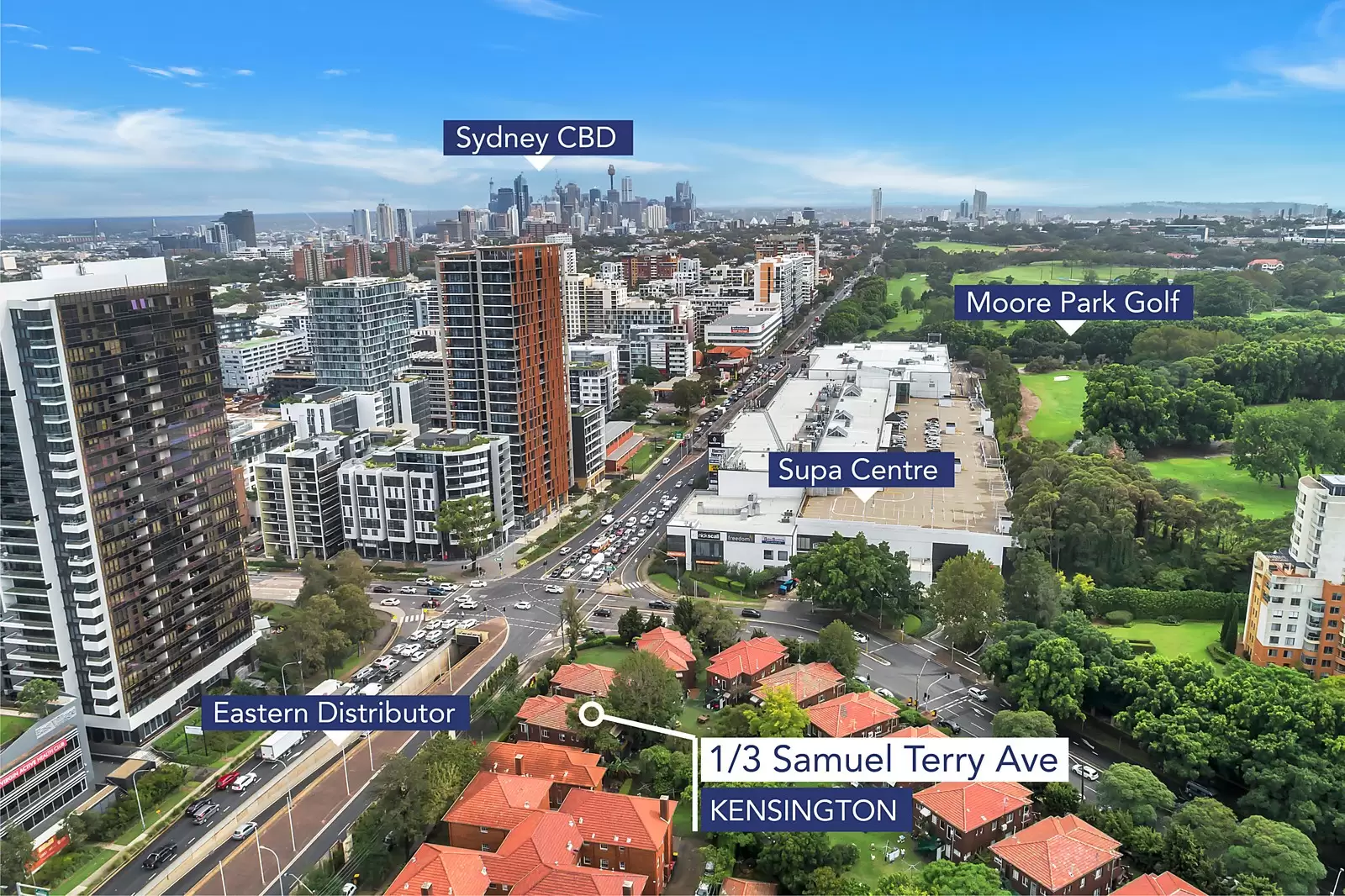 1/3 Samuel Terry Avenue, Kensington Sold by Sydney Sotheby's International Realty - image 4