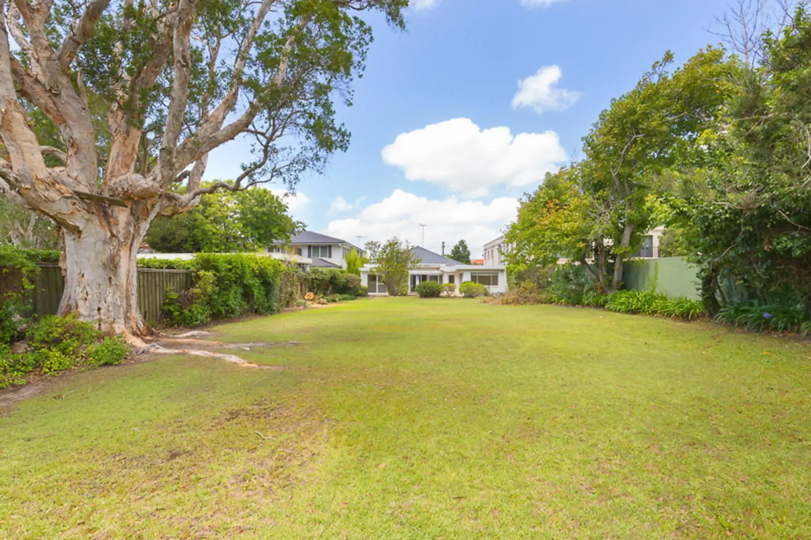 Rose Bay Leased by Sydney Sotheby's International Realty - image 2