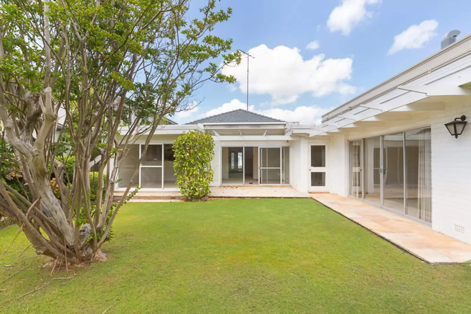 Rose Bay Leased by Sydney Sotheby's International Realty - image 6