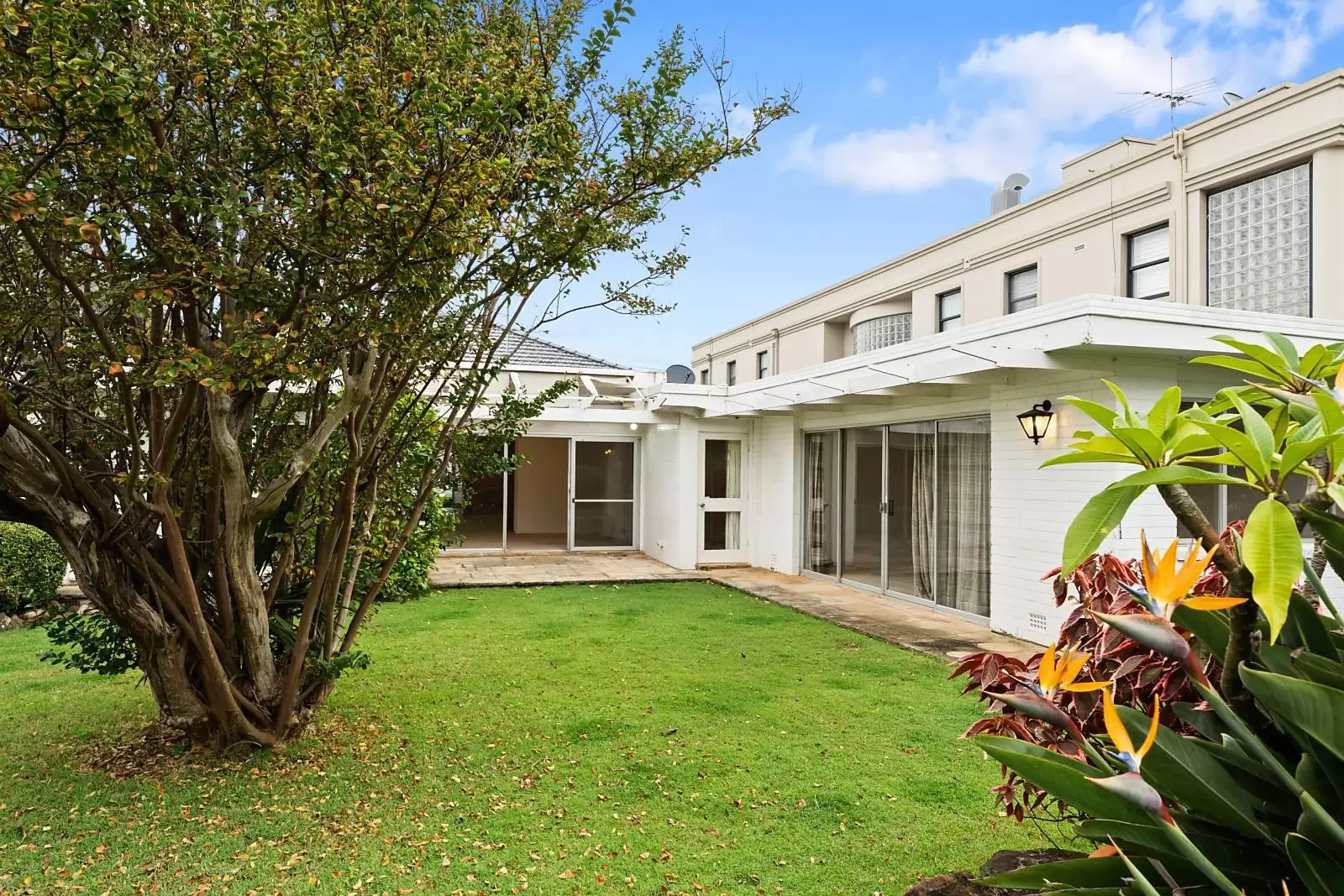 Rose Bay Leased by Sydney Sotheby's International Realty - image 5