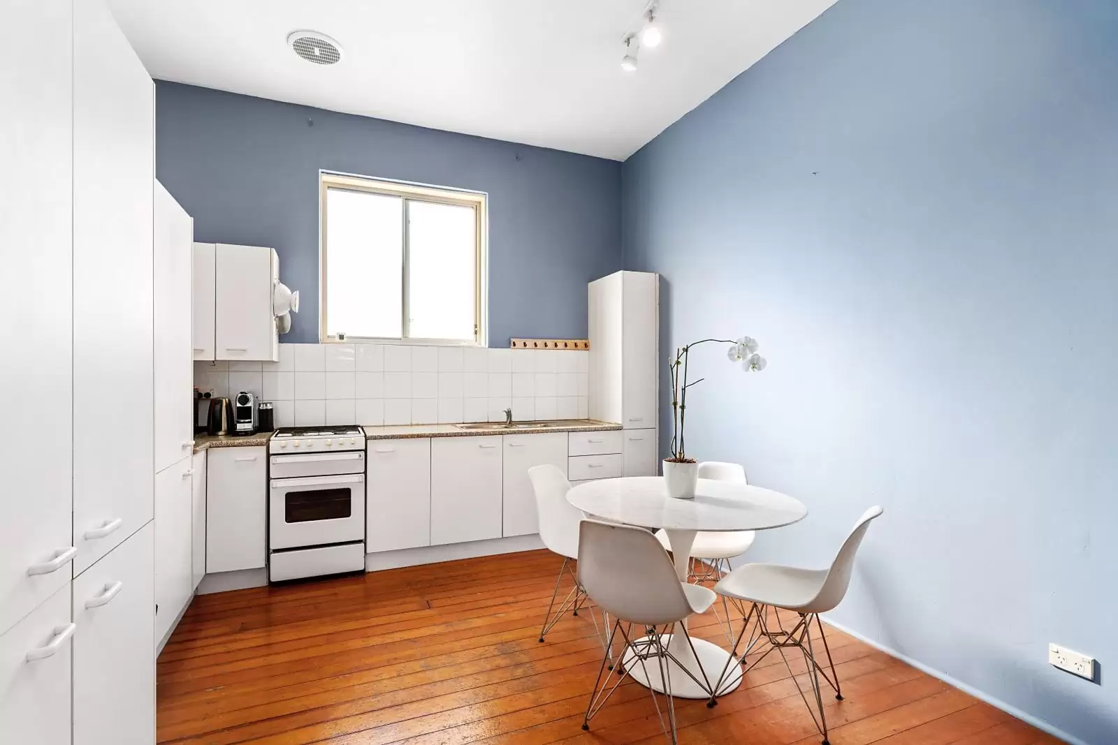84 Ocean Street South, Bondi Leased by Sydney Sotheby's International Realty - image 3