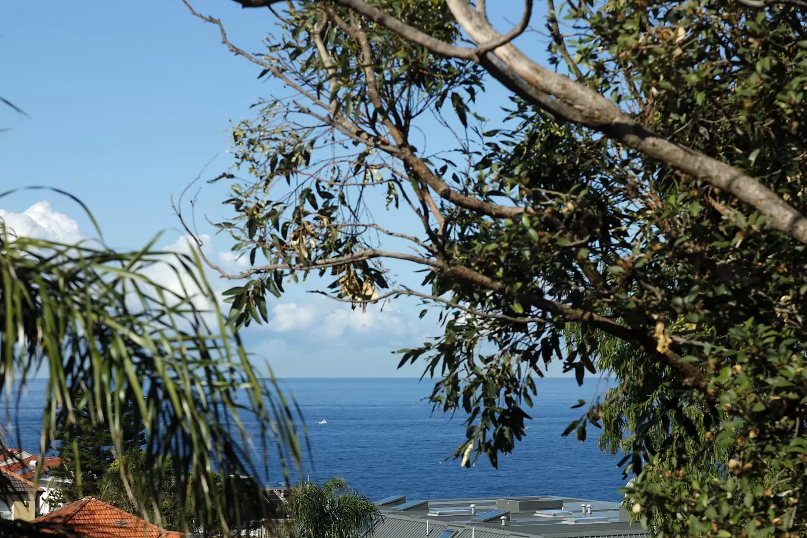 28/745-747 Old South Head Road, Vaucluse Sold by Sydney Sotheby's International Realty - image 14