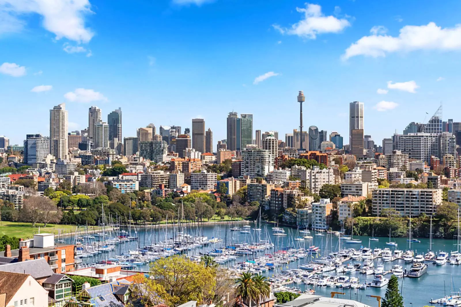11/75 Darling Point Road, Darling Point Leased by Sydney Sotheby's International Realty - image 8