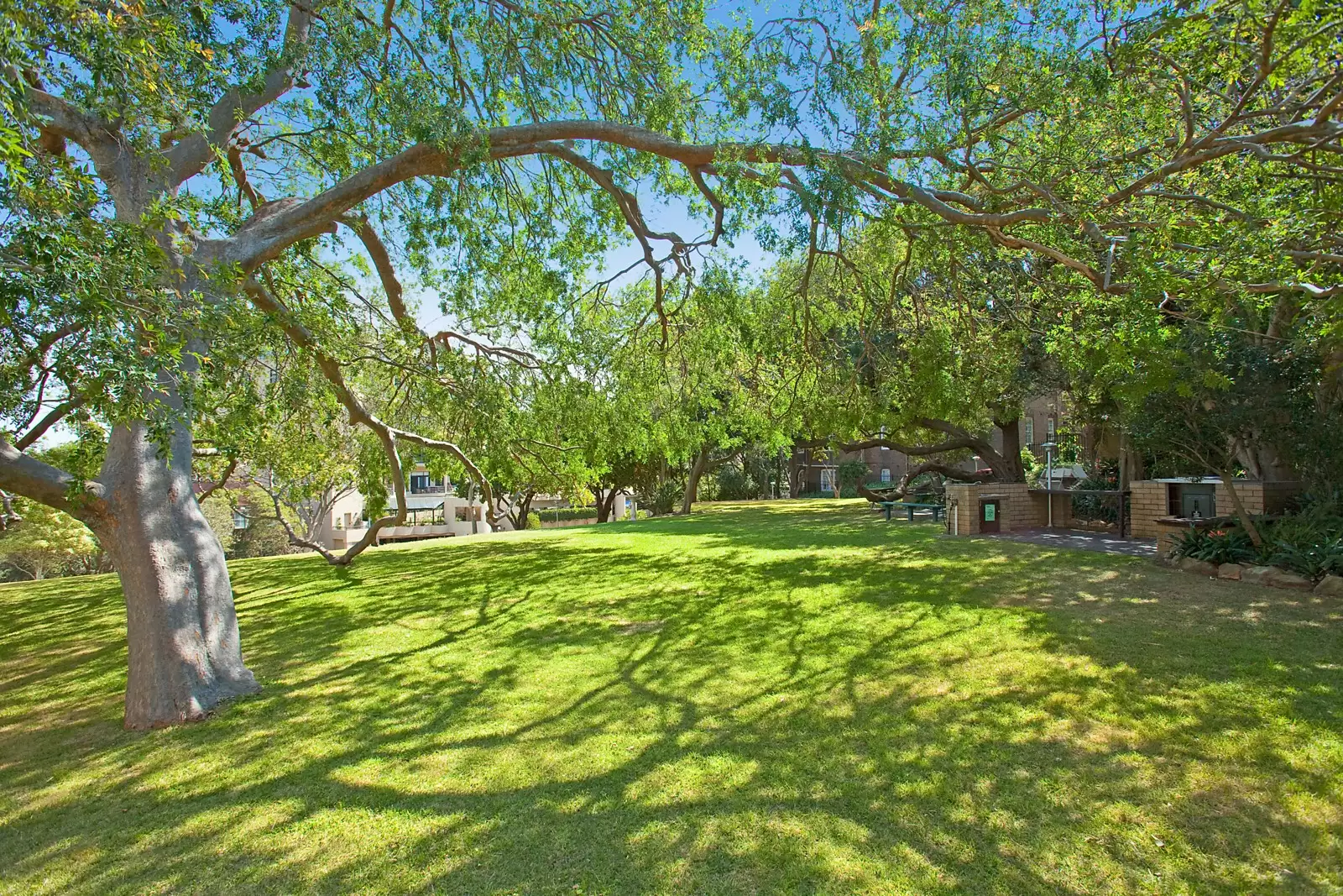 3B/3 Darling Point Road, Darling Point Leased by Sydney Sotheby's International Realty - image 9