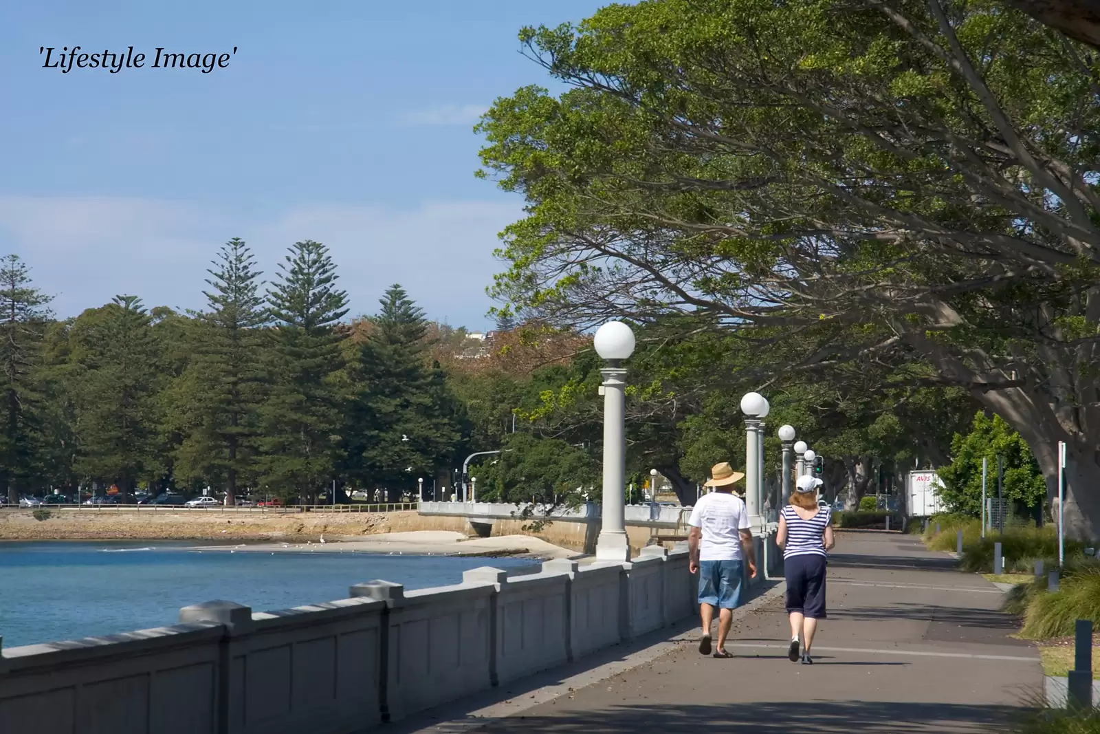 78 Onslow Street, Rose Bay Sold by Sydney Sotheby's International Realty - image 22