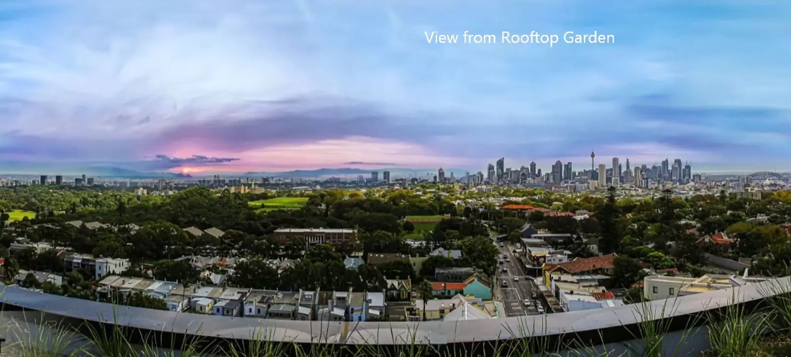 401 59 Oxford Street, Bondi Junction Leased by Sydney Sotheby's International Realty - image 15