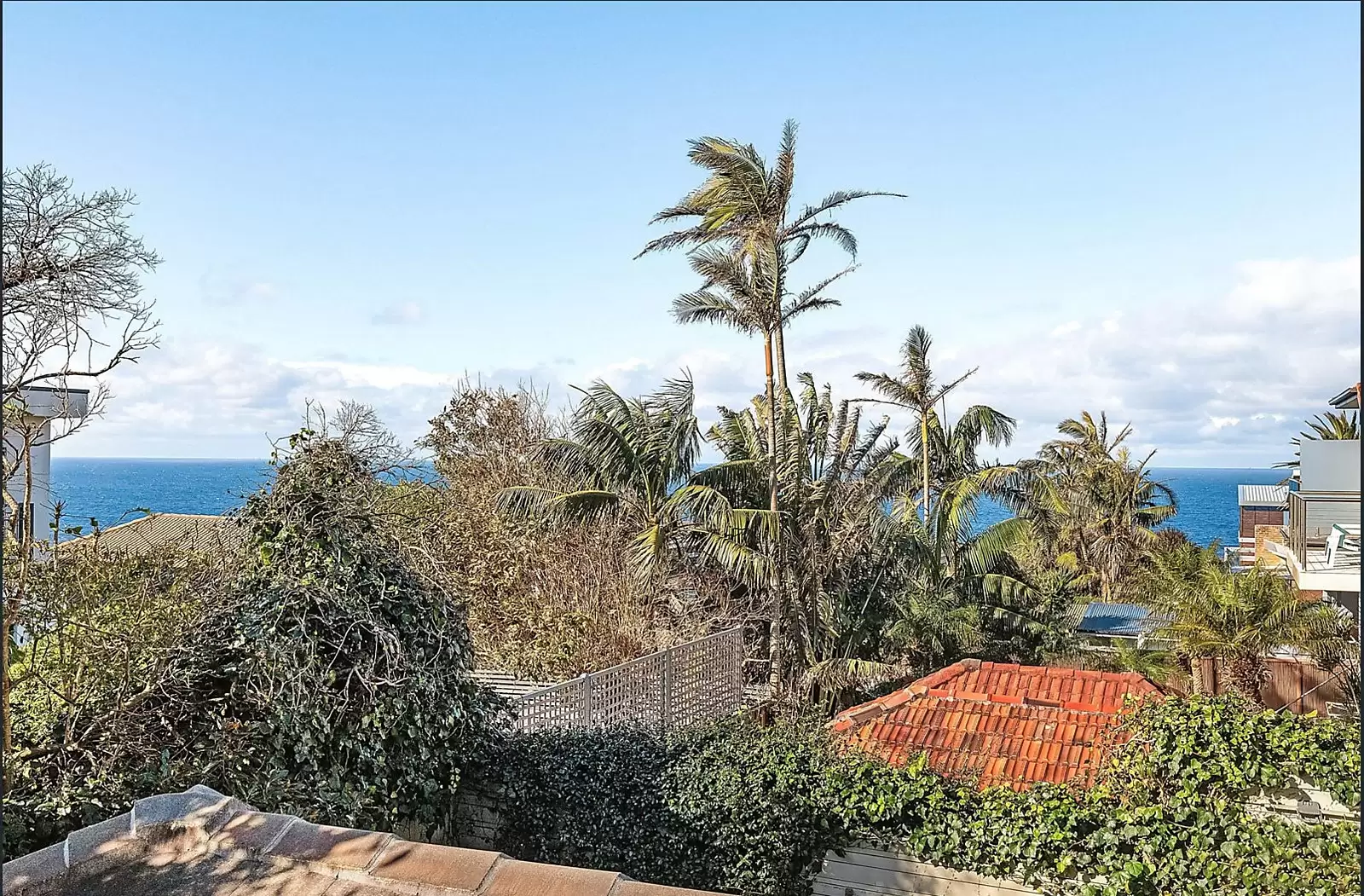 50 Lancaster Road, Dover Heights Sold by Sydney Sotheby's International Realty - image 5