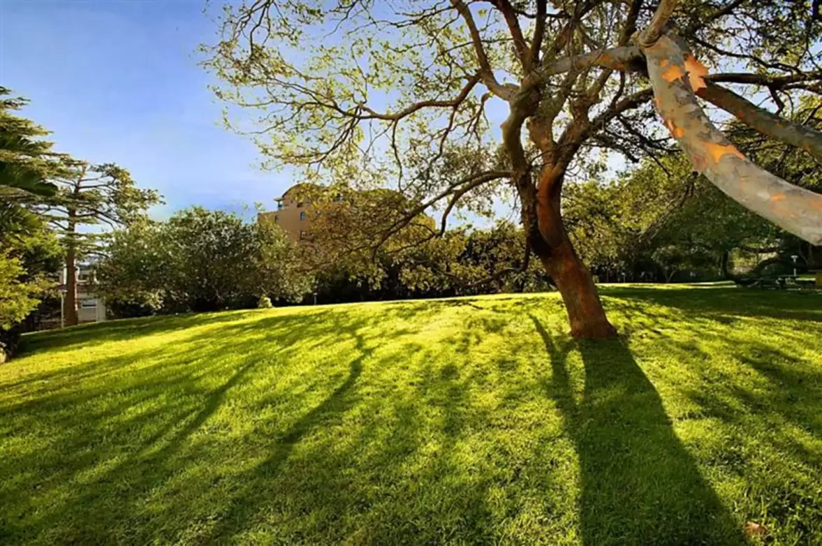 'Ranelagh' 1D/3 Darling Point Road, Darling Point Sold by Sydney Sotheby's International Realty - image 9