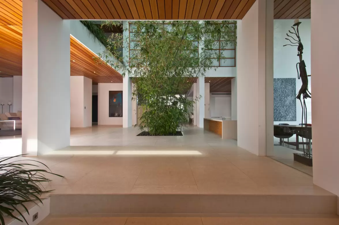 20 Ray Avenue, Vaucluse Sold by Sydney Sotheby's International Realty - image 4