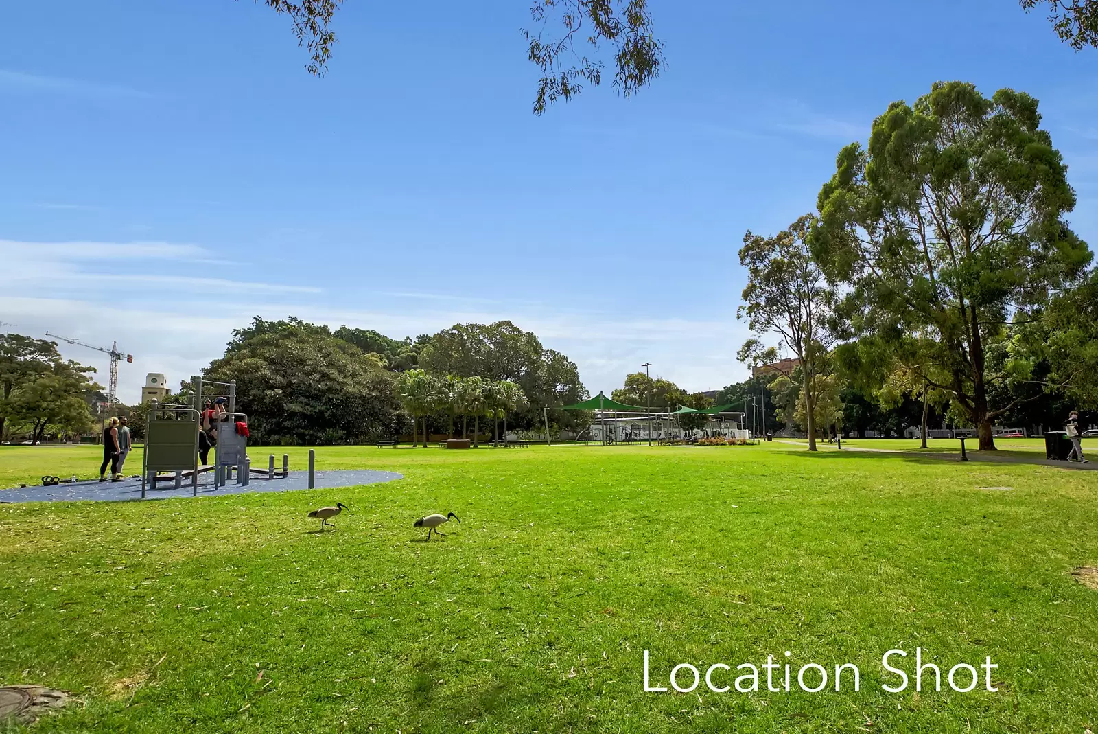 B507/89 Bay Street, Glebe Sold by Sydney Sotheby's International Realty - image 12