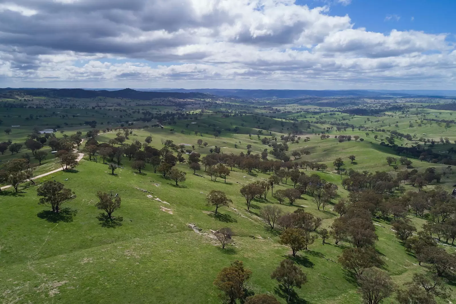 486 Martin Bird Lane, Rock Forest Sold by Sydney Sotheby's International Realty - image 5