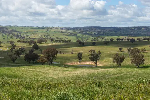 486 Martin Bird Lane, Rock Forest Sold by Sydney Sotheby's International Realty