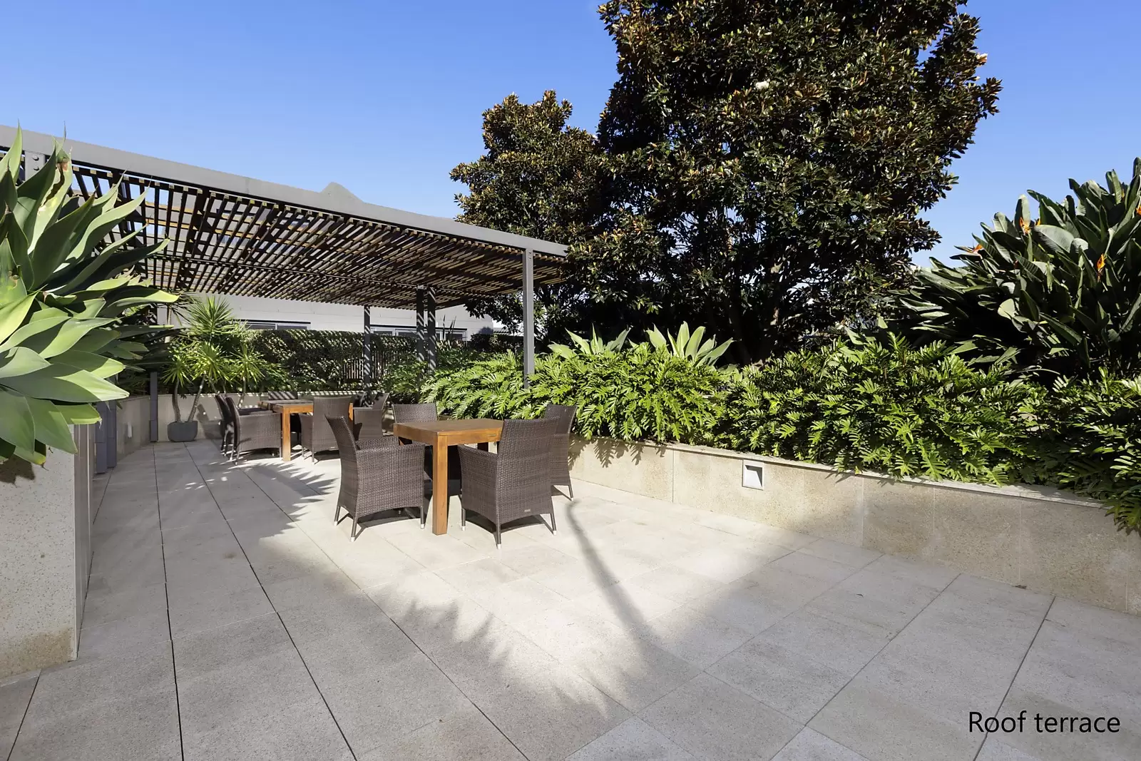 5H/2-22 Knox Street, Double Bay Sold by Sydney Sotheby's International Realty - image 22