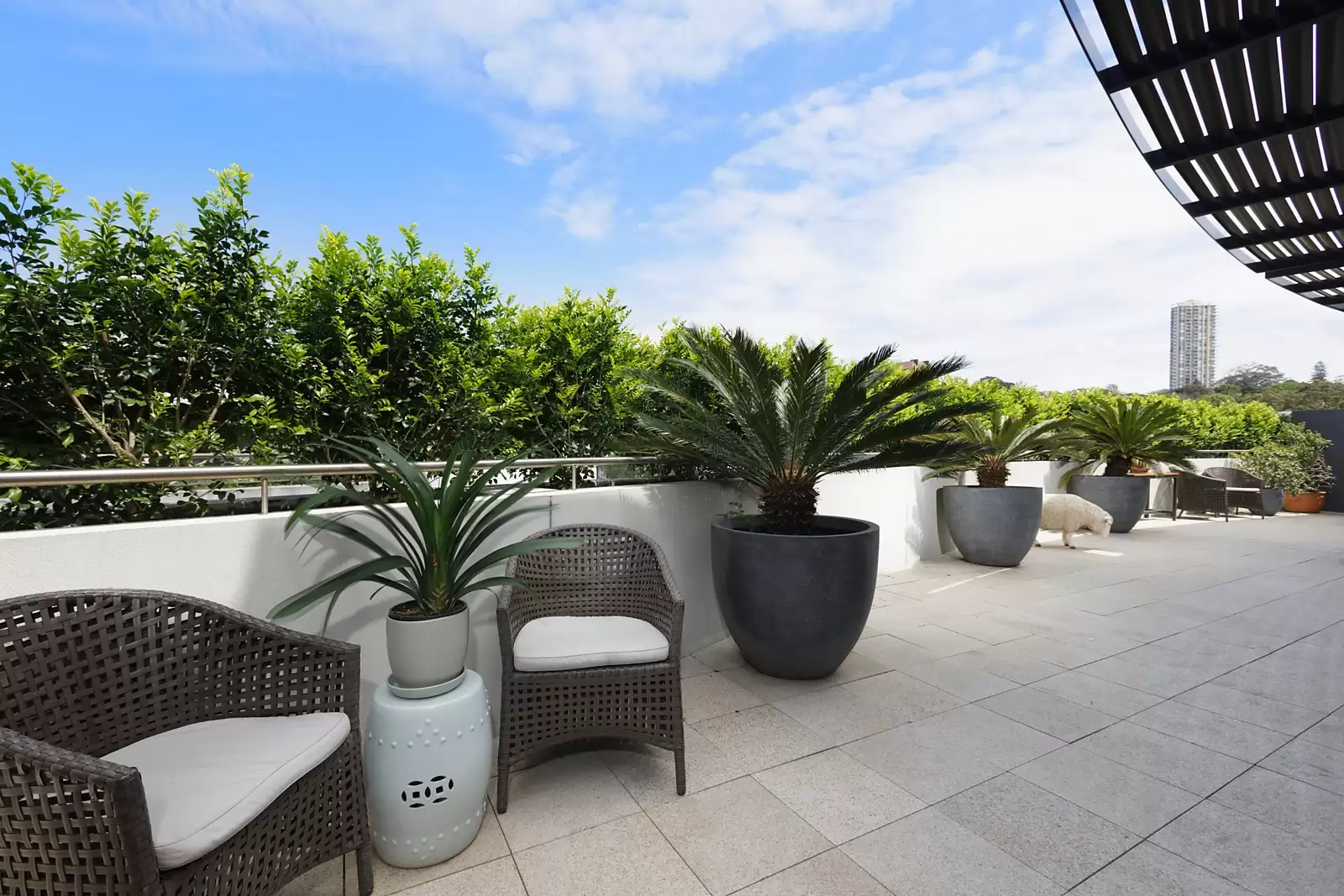 5H/2-22 Knox Street, Double Bay Sold by Sydney Sotheby's International Realty - image 4