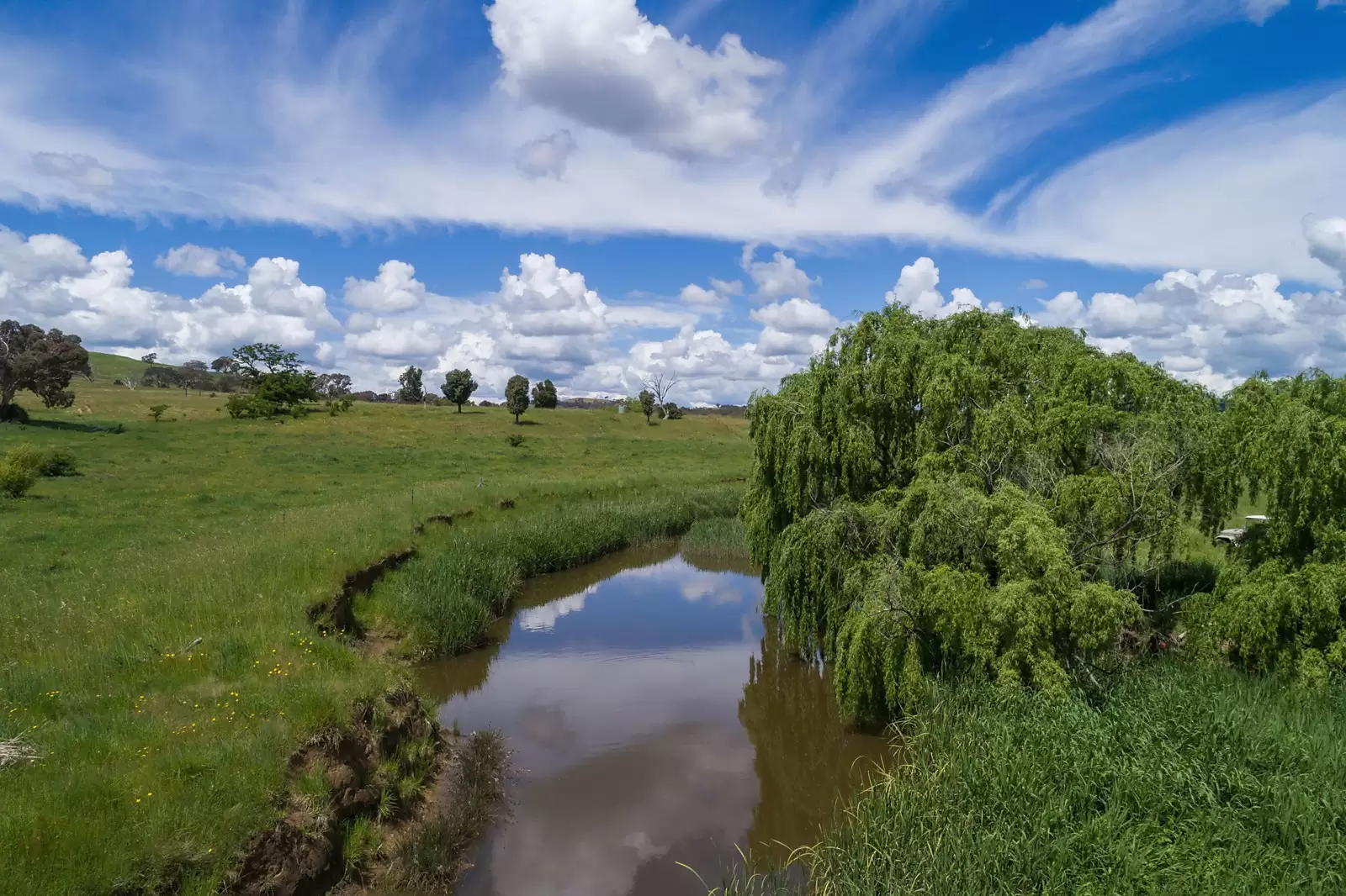 308 Rugby Road, Dalton Sold by Sydney Sotheby's International Realty - image 13
