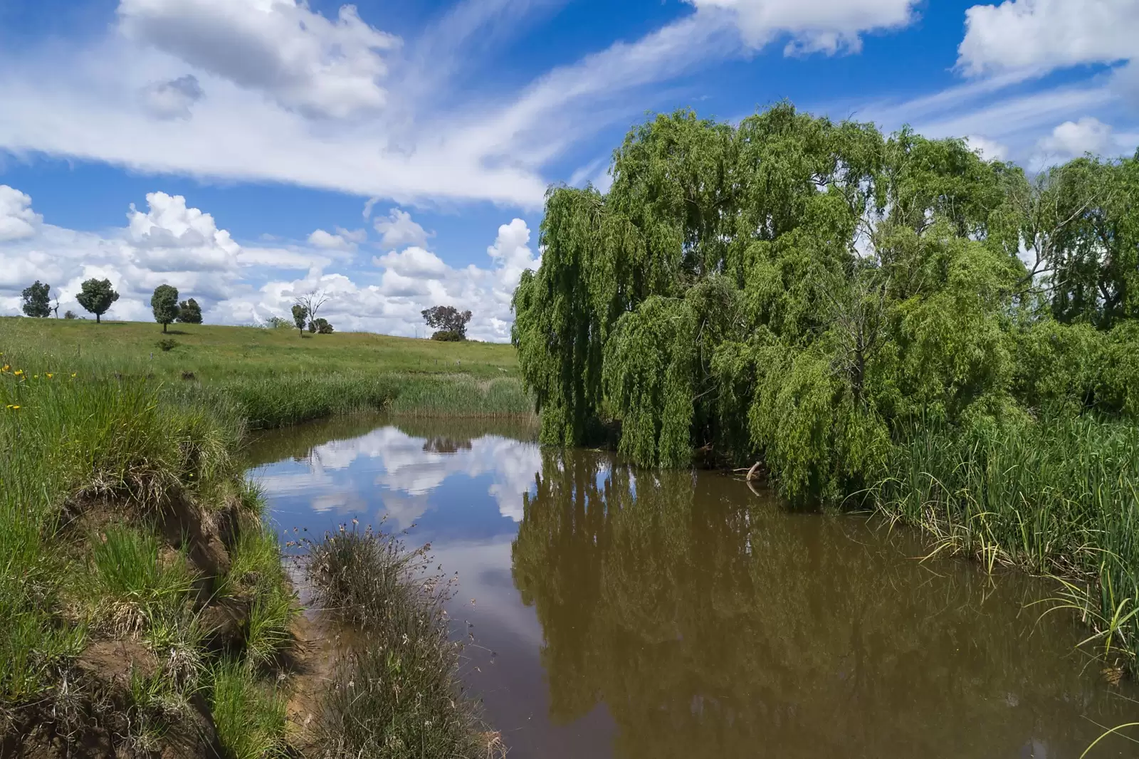 308 Rugby Road, Dalton Sold by Sydney Sotheby's International Realty - image 3